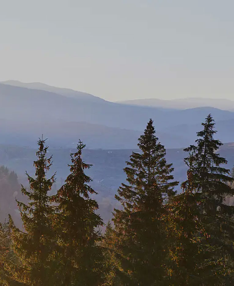 Læderdesign melaminplade